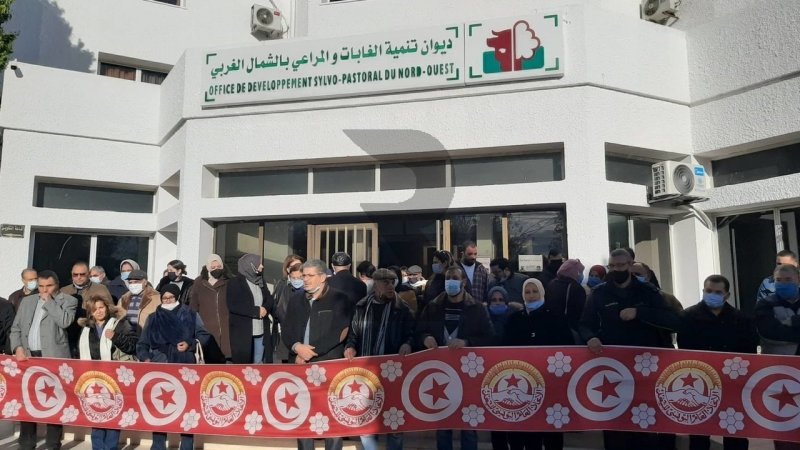 انتهاكٌ للحق النقابي وتجاهلٌ لمشاكل العمال في ديوان تنمية الغابات والمراعي بالشمال الغربي