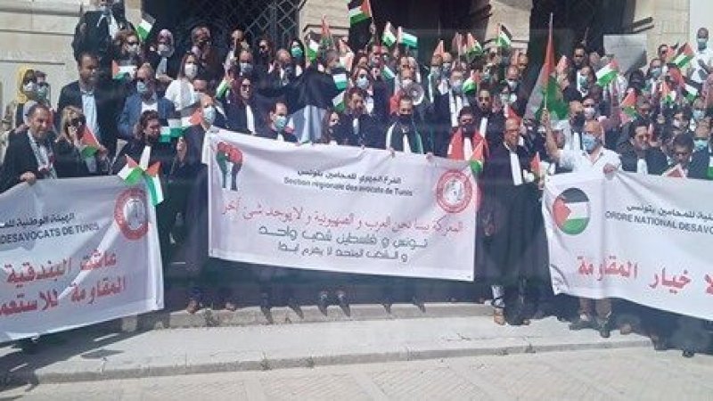 خلال وقفتهم التضامنية مع شعب فلسطين.. المحامون يتوعدون بمقاضاة الكيان الصهيوني دوليا على جرائمه