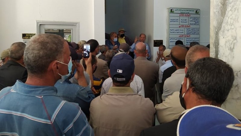 باجة: تجمع احتجاجي لعمال ديوان تنمية الغابات والمراعي بالشمال الغربي