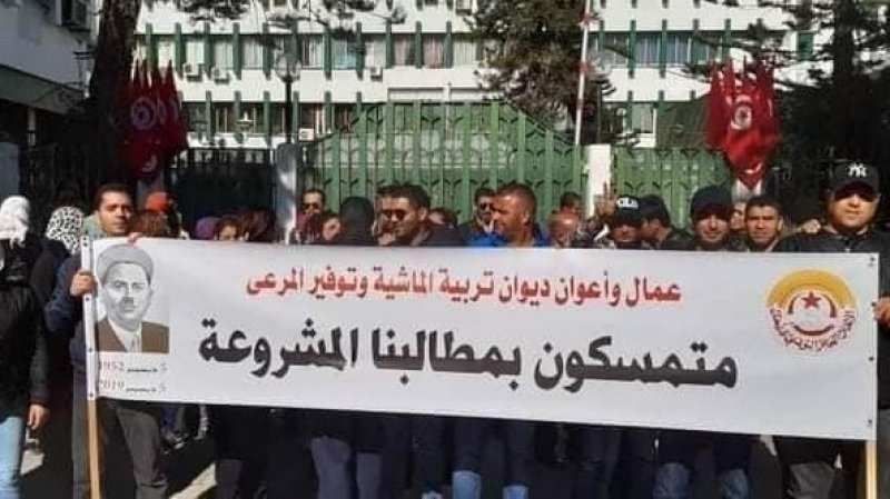 في ديوان تربية الماشية وتوفير المرعى: القانون الأساسي، التطهير المالي والهيكل التنظيمي أولى هواجس الأعوان