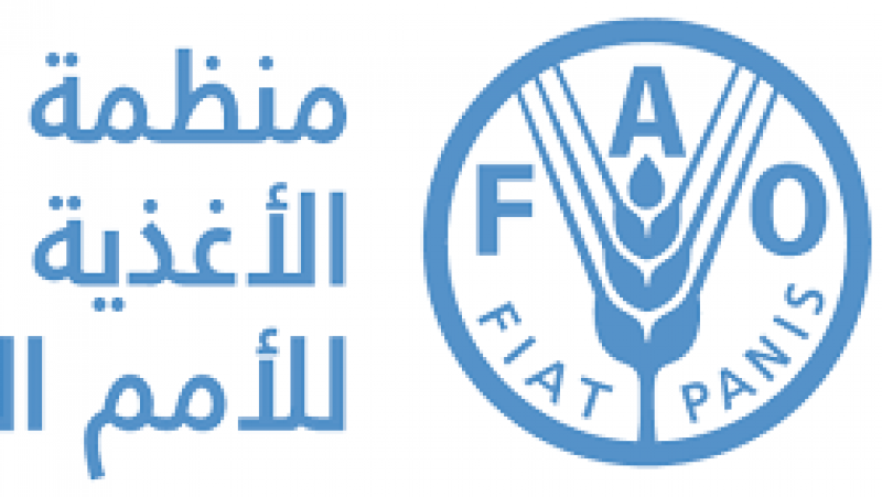 تراجع الأسعار العالمية للحبوب بنسبة 03 بالمائة خلال شهر جويلية