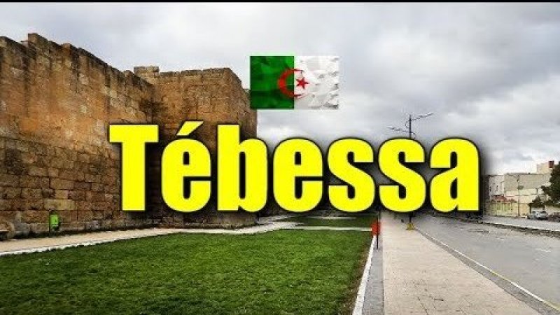 هل يقع ترحيل نبيل وغازي القروي غدا الى تونس بموجب حكم استعجالي؟