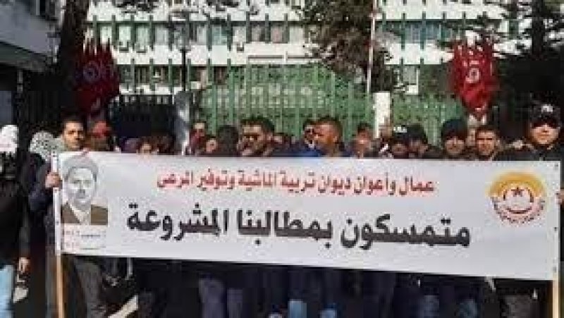 عمال واعوان ديوان تربية الماشية مصرون على صرف مستحقاتهم من بقية المنحة الخاصة من الخزينة المركزية نقدا
