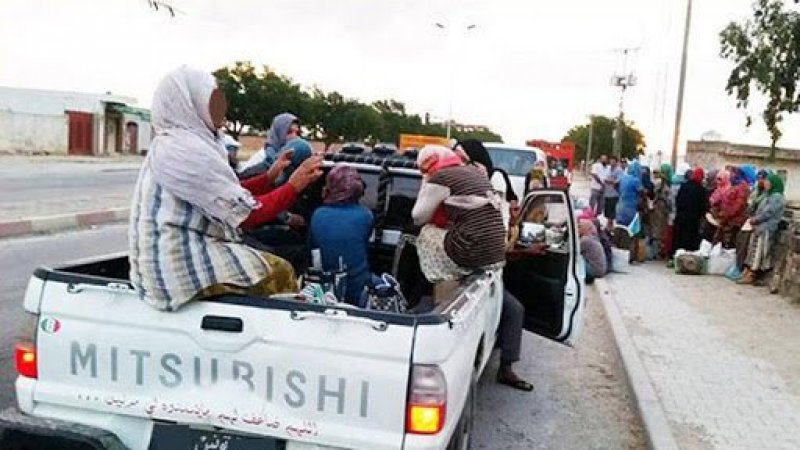 40 % من العاملات الفلاحيات يحصلن على أجر يومي ب12 دينار، والناقلون متورطون بالسمسرة بهنّ