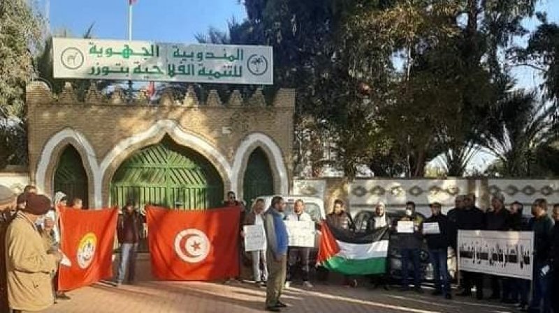 عمال الحضائر بالمندوبية الجهوية للتنمية الفلاحية بتوزر يحتجون