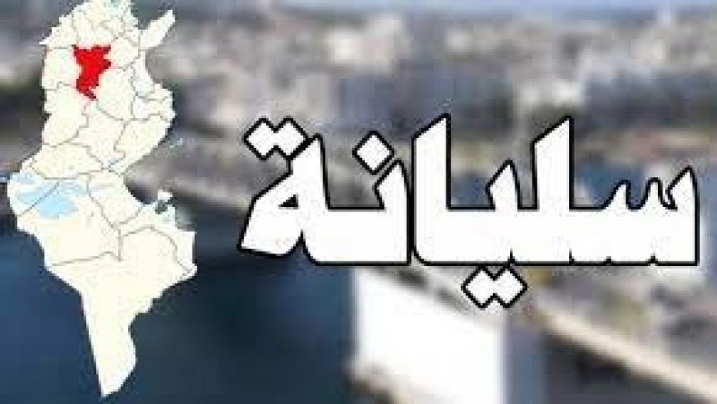 سليانة عشق ركح، الذاكرة والواقع والفرص الكامنة