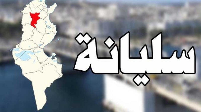 سليانة..تسجيل 156 محضر بحث ومخالفات تتعلق بالاحتكار والترفيع في الاسعار