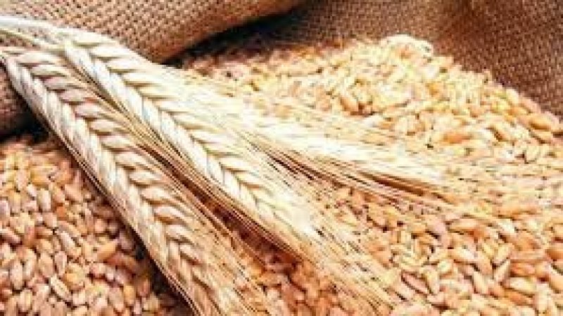 مفاوضات روسية أوكرانية للافراج عن بواخر الحبوب بوساطة أممية تركية