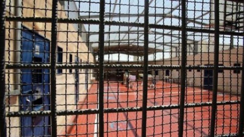 85 معتقلا يخوضون إضرابا عن الطعام نصرة لريان وعواودة