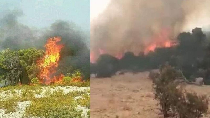 ألسنة النار تمتد مجددا الى جبل برقو واتحاد الشغل بسليانة يدعو الى التدخل الفوري مركزياَ