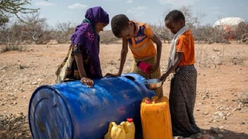 المجاعة في الصومال بسبب الجفاف.. الرئيس يعلنها رسميا