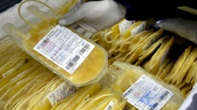 مصر توقف العلاج بـ"بلازما المتعافين" لمرضى كورونا