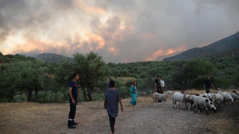 السيطرة على حريق اندلع بجبل مزاتة في برقو