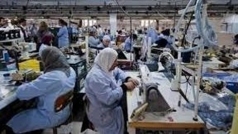 الشركات التونسية لا تفعل الاتفاقيات الدولية رغم الرقابة العالمية
