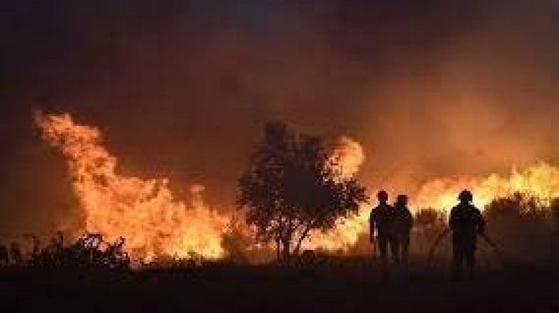 حرائق الغابات تخلّف رقماً قياسياً من المناطق المحروقة في أوروبا