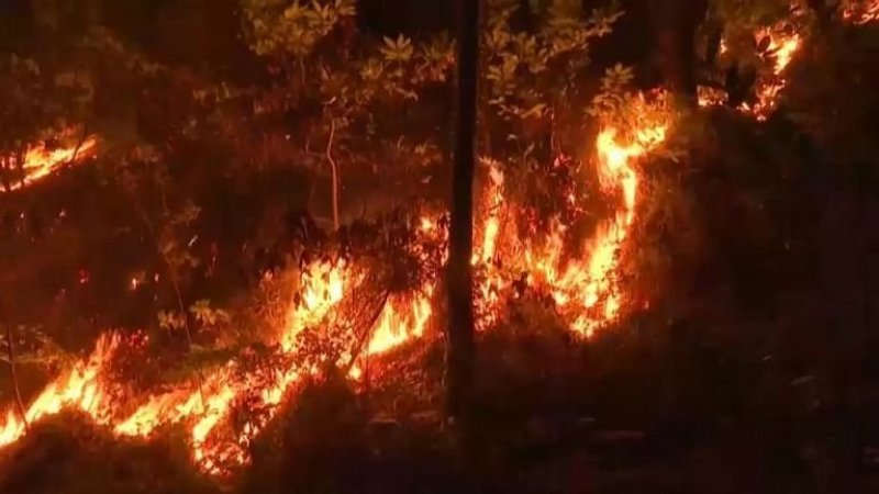حرائق الغابات تضاعفت خلال 20 عاما بسبب تغير المناخ