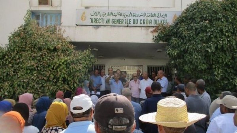 وقفة احتجاجية في مندوبية الفلاحة بالكاف رفضا لتعيين مسؤول جديد في احدى دوائرها