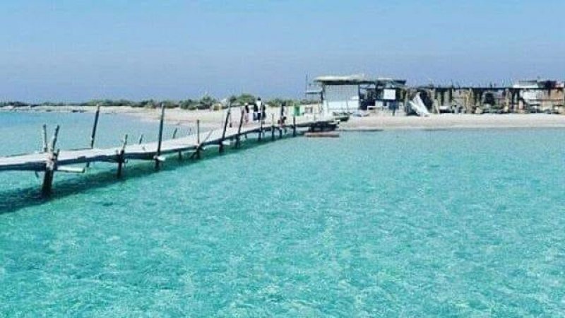 إطلاق حملة نظافة بجزر قوريا في المنستير في إطار "شهر النظافة"