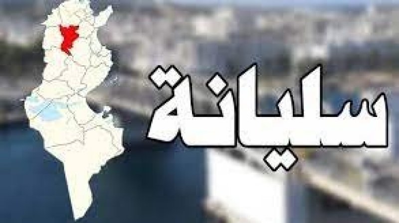 حجز حوالي 575 لترا من الزيت المهرب وعدد هام من حافظات الأقلام المهربة وبدلات رياضية ومبلغ مالي من العملة الليبية في سليانة