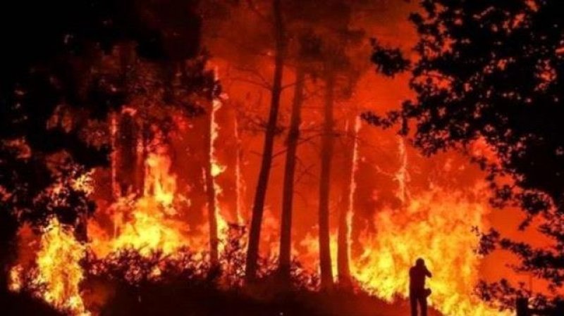 حرائق الغابات مستمرة في جنوب غرب فرنسا ومزيد من عمليات الإجلاء