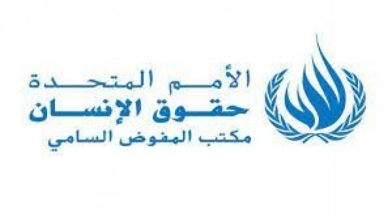 مكتب المفوضية السامية لحقوق الانسان يكشف عن جملة من المؤاخذات على المرسوم الانتخابي الجديد في تونس