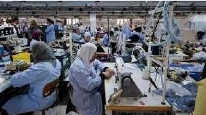عمال مؤسستي "فينو1" و"فينو2" يعودون الى العمل