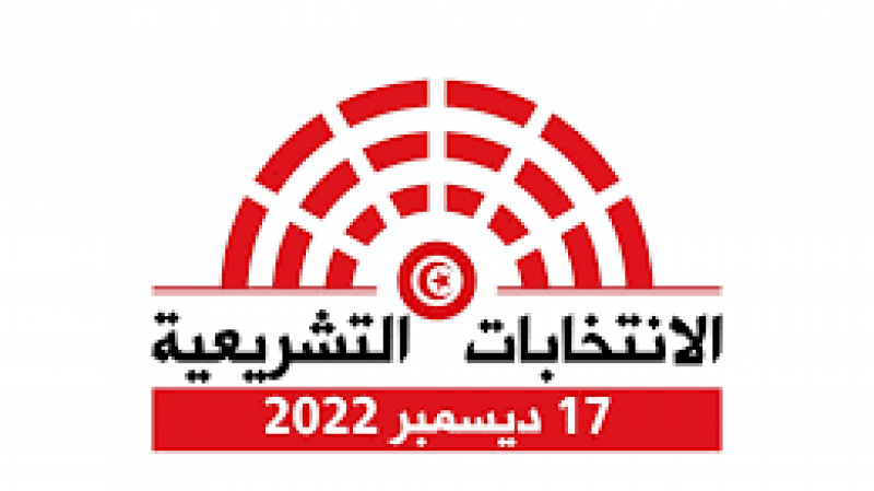 110 تونسيا من التونسيين بالخارج يدلون باصواتهم الى حدود منتصف نهار الخميس