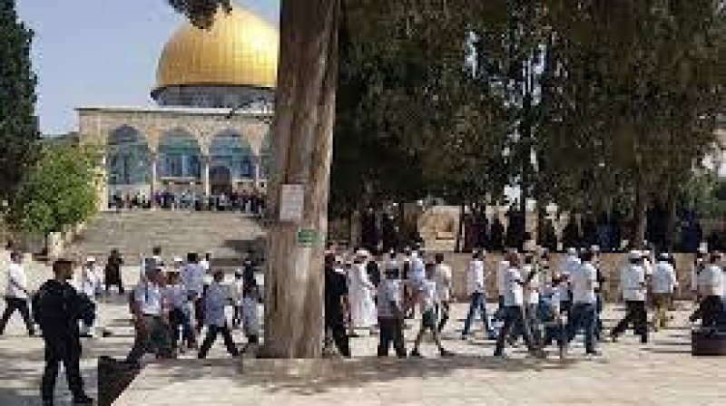 عام 2022 الأسوأ من حيث انتهاكات الاحتلال بالمسجد الأقصى.. أكثر من 48 ألف مستوطن اقتحموا الحرم القدسي