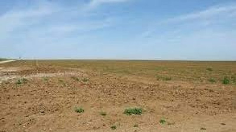 في أراضي الدولة المسترجعة في القيروان : توتر بسبب عدم صرف الأجور والاتحاد يدعو الى مقاربة تنموية تخدم الجهة