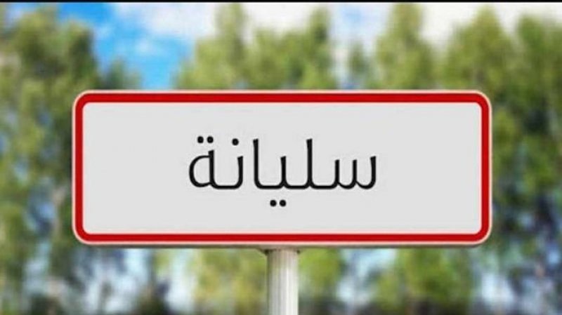 سليانة: المندوب الجهوي للفلاحة يعتدي على العمال ويتسبب في توتر المناخ الاجتماعي بالورشة المركزية
