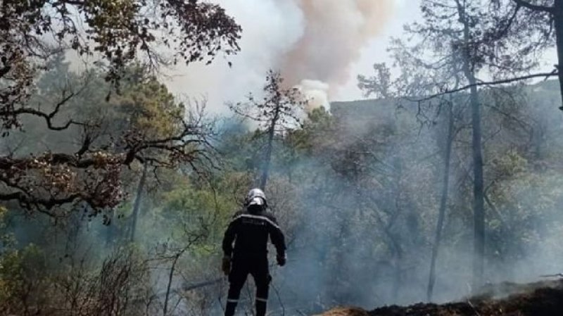 سليانة: إخماد حريق اندلع في جبل بوعبد الله بكسرى