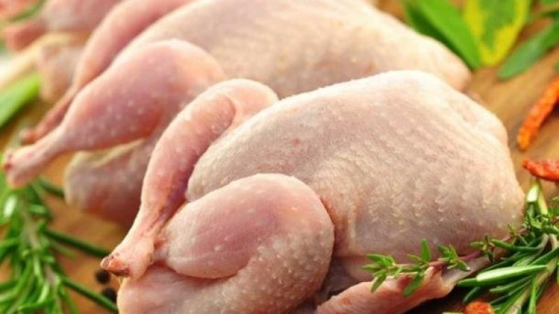 إنتاج الدجاج يزيد بنسبة 7،4 بالمائة خلال الأشهر الثماني الأولى من سنة 2023