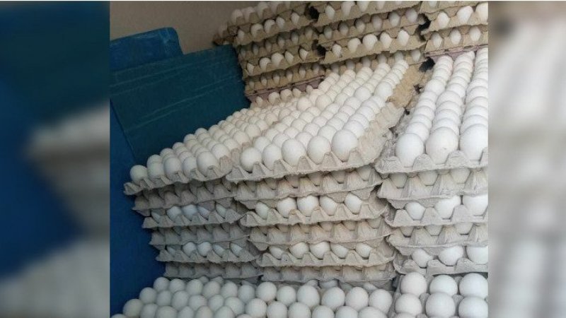 باجة: حجز 60 ألف بيضة محملة على متن شاحنة