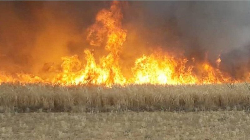 باجة: اندلاع حريق بأرض فلاحية بمنطقة بورويس