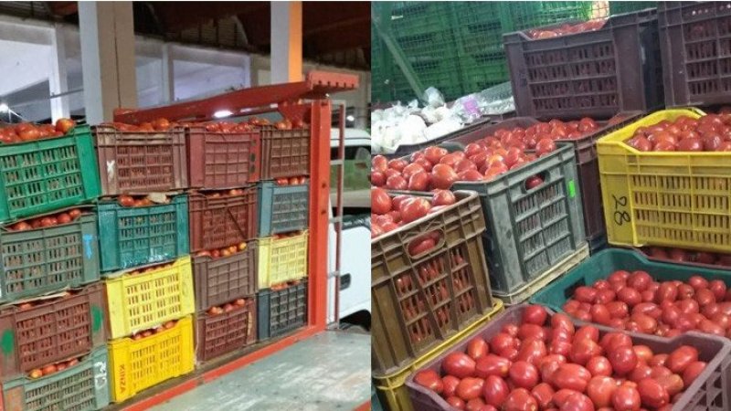 حجز 4 أطنان من الطماطم ببنزرت كانت ستروج خارج المسالك القانونية