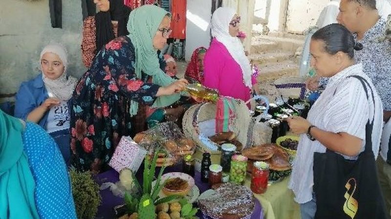 القيروان: دورة أولى محترمة لمهرجان التين الشوكي بالذهيبات