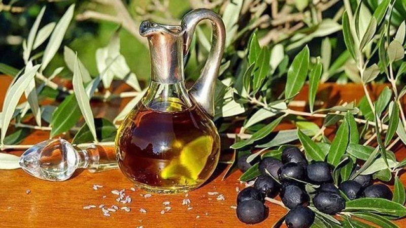 عائدات صادرات زيت الزيتون التونسي ترتفع بنسبة56.6 بالمائة