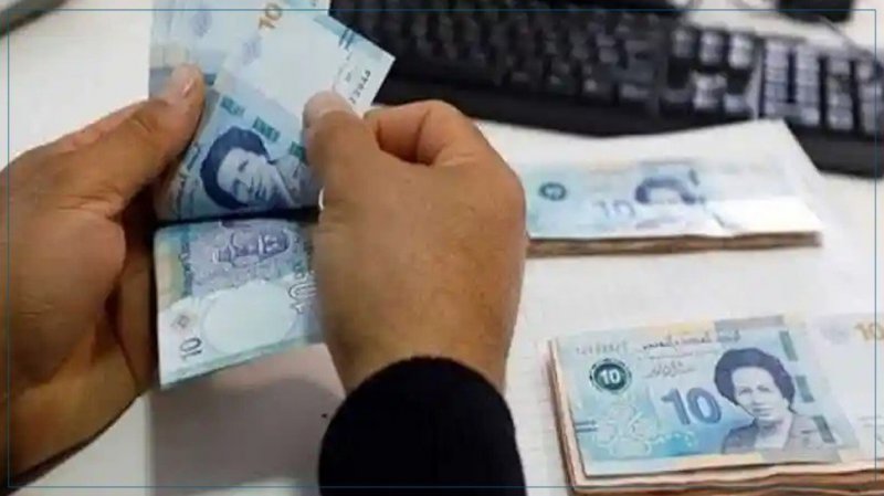 قفصة: نحو إسناد 47 قرضا لفائدة فلاحي الحبوب