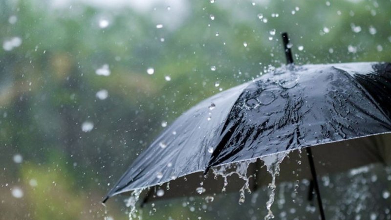 طقس الخميس في تونس و قطاع غزة : منخفض جوي و أمطار بكميات هامة و محليا غزيرة