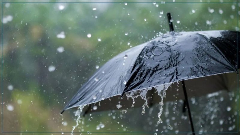أمطار رعدية ومحليا غزيرة بداية من الغد