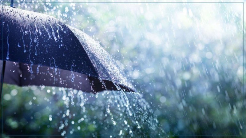 أمطار مؤقتا رعدية ومحليا غزيرة الليلة وغدا