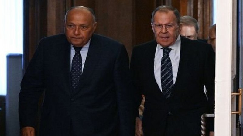 فحوى لقاء وزيري خارجية روسيا ومصر بخصوص الحرب على غزّة