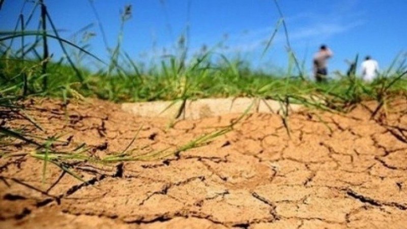 تطاوين: استبشار في صفوف الفلاحين ومربي المواشي بالأمطار الأخيرة بعد جفاف حاد دام 3 سنوات