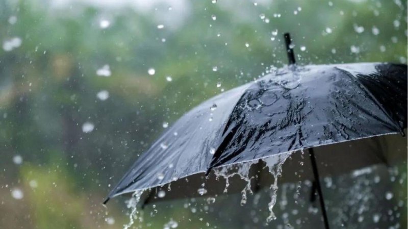 أمطار غزيرة بالشمال والوسط بداية من الليلة