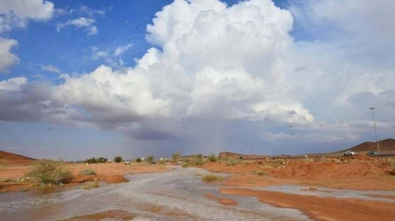 طقس اليوم الأحد : أمطار ورياح قوية في تونس و طقس مغيم مع إرتفاع في درجات الحرارة في قطاع غزة