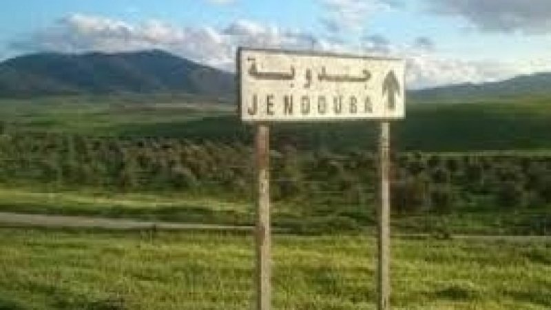 اتحاد الصناعة والتجارة بجندوبة يدين اعتداء أمنيا على مستثمر شاب ويطالب بحماية المؤسسات واصحابها