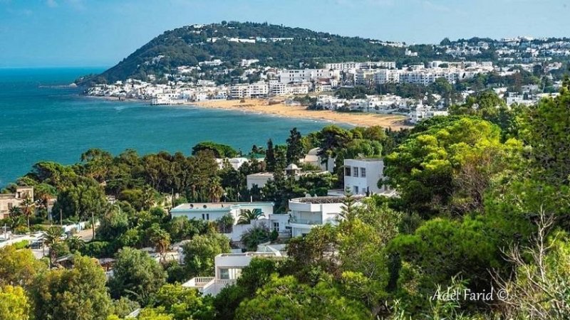 طقس اليوم الإربعاء : أجواء شديدة البرودة وسقوط زخات متفرقة من البرد في غزة و طقس مغيم جزئيا في تونس