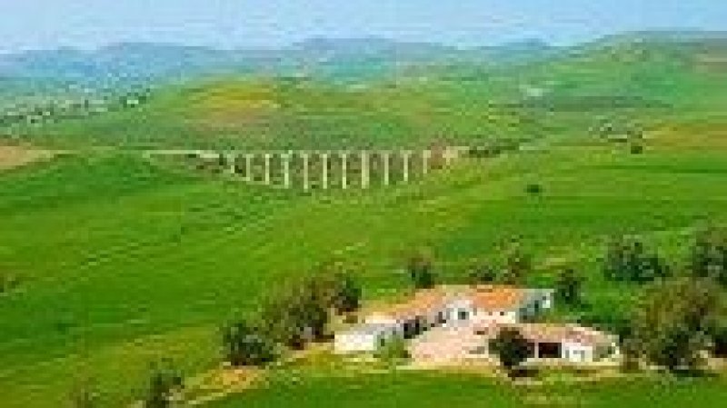 طقس اليوم الأربعاء : إرتفاع في درجات الحرارة في قطاع غزة و سحب عامة قليلة ثمّ تتكاثف تدريجيا بعد الظهر في تونس