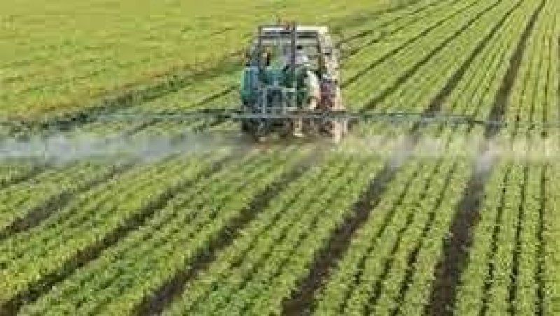 حسب وكالة الاستثمار الفلاحي : تراجع الاستثمارات الخاصة في القطاع 25,1% لتقدر ب 480 مليار دينار