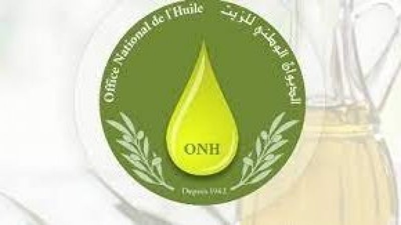 وفق الديوان الوطني للزيت : عائدات تصدير زيت الزيتون تصل الى 2.3 مليار دينار وتحسن في التعليب ب 14.8 بالمائة